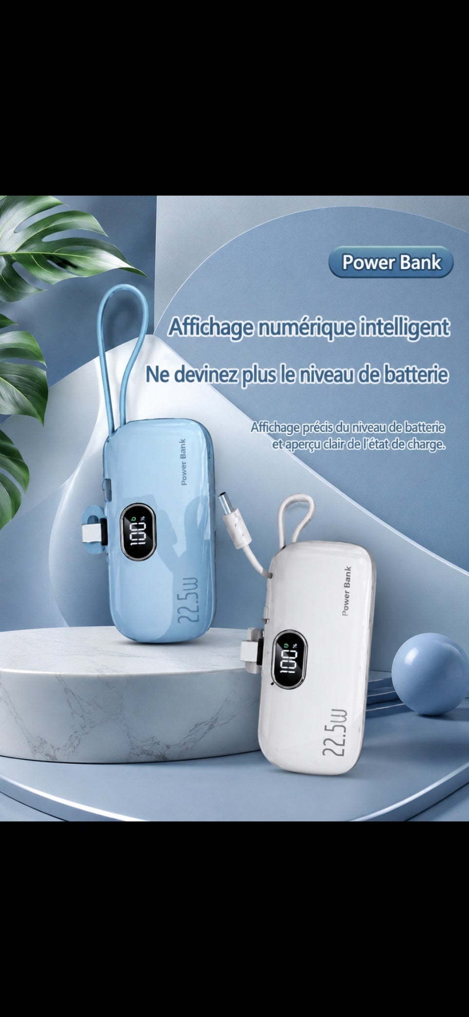 	Batterie externe – indicateur de charge LED